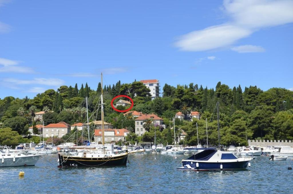 Apartmán Peaceful House In Dubrovník Exteriér fotografie